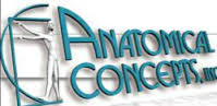 Anatomical Concepts Logo